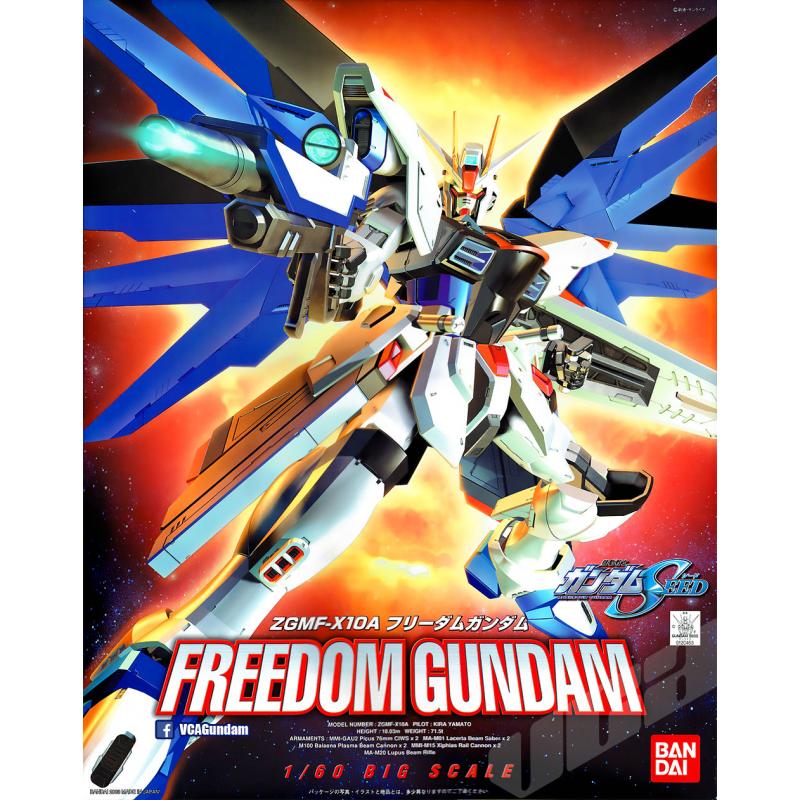 NG 1/60 Freedom Gundam