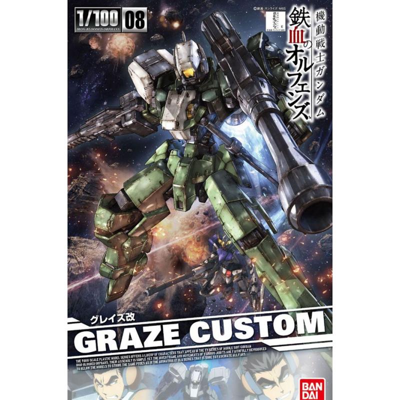 [008] NG 1/100 Graze Custom
