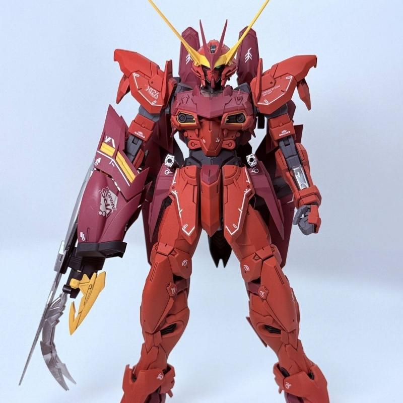 Tiger Model MG 1/100 Testament Gundam Plastic Model Kit