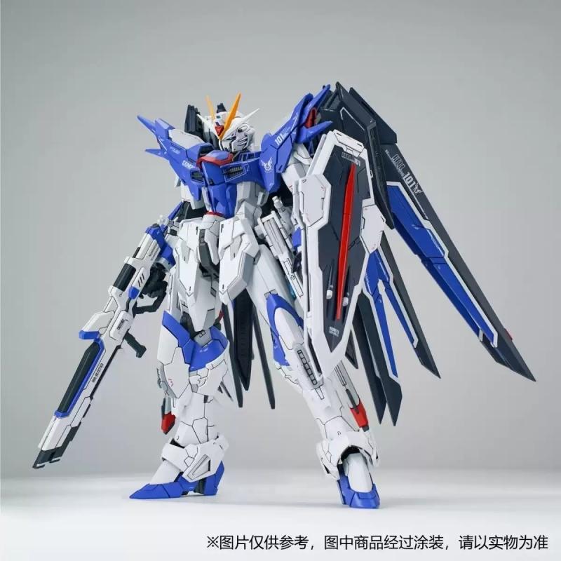 Shenma Model 1/100 GK Style Rising Freedom Gundam Assembly Model Kit
