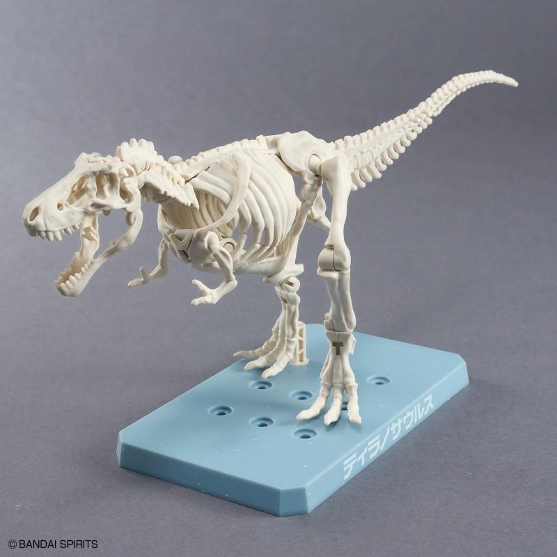 Plannosaurus Tyrannosaurus Snowfall Area Ver.