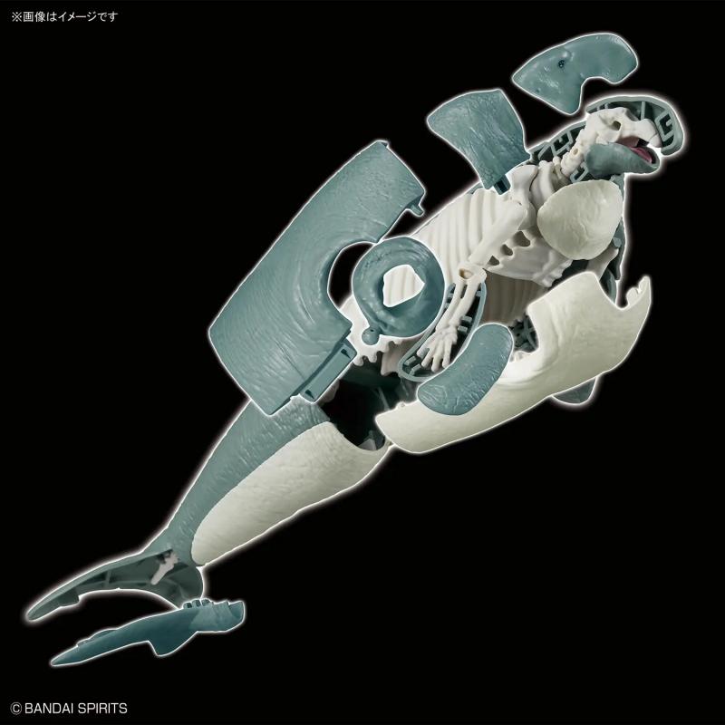 Plannosaurus Hydrodamalis Gigas