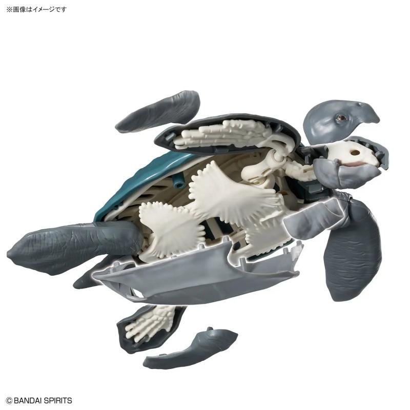 Plannosaurus Archelon