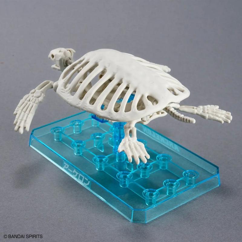 Plannosaurus Archelon