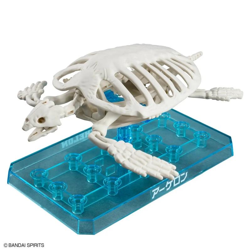 Plannosaurus Archelon