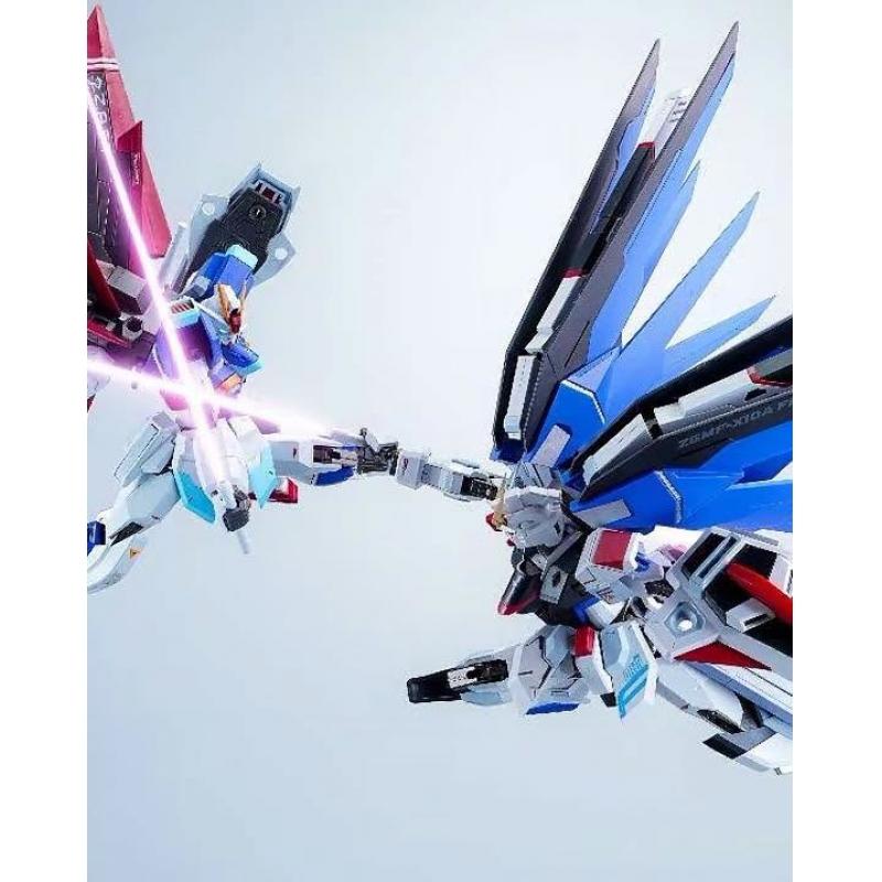 Angry Shinn Asuka 1/144 Sword of the Heavens – Mr. Freedom (MR Ver.) Model Kit with Metal Frame