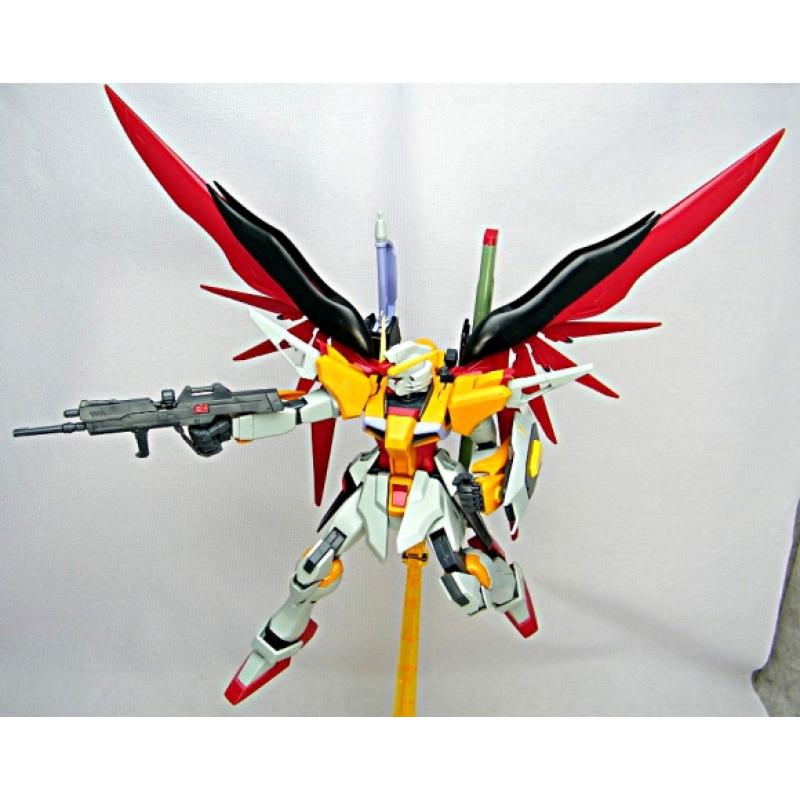 MG 1/100 Destiny Gundam (Heine Westenfluss Custom)