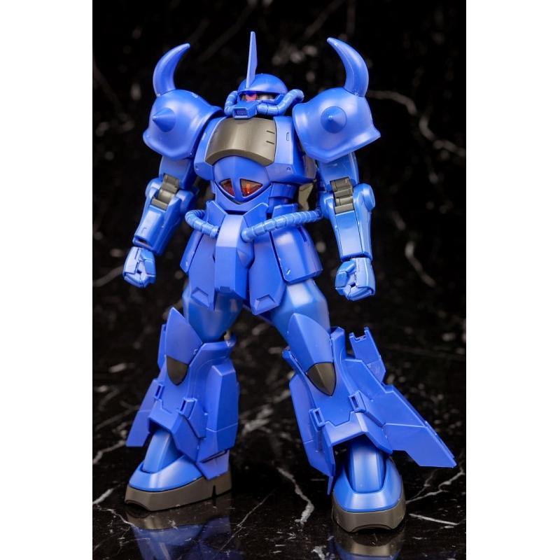 [015] HGBF 1/144 Gouf R35