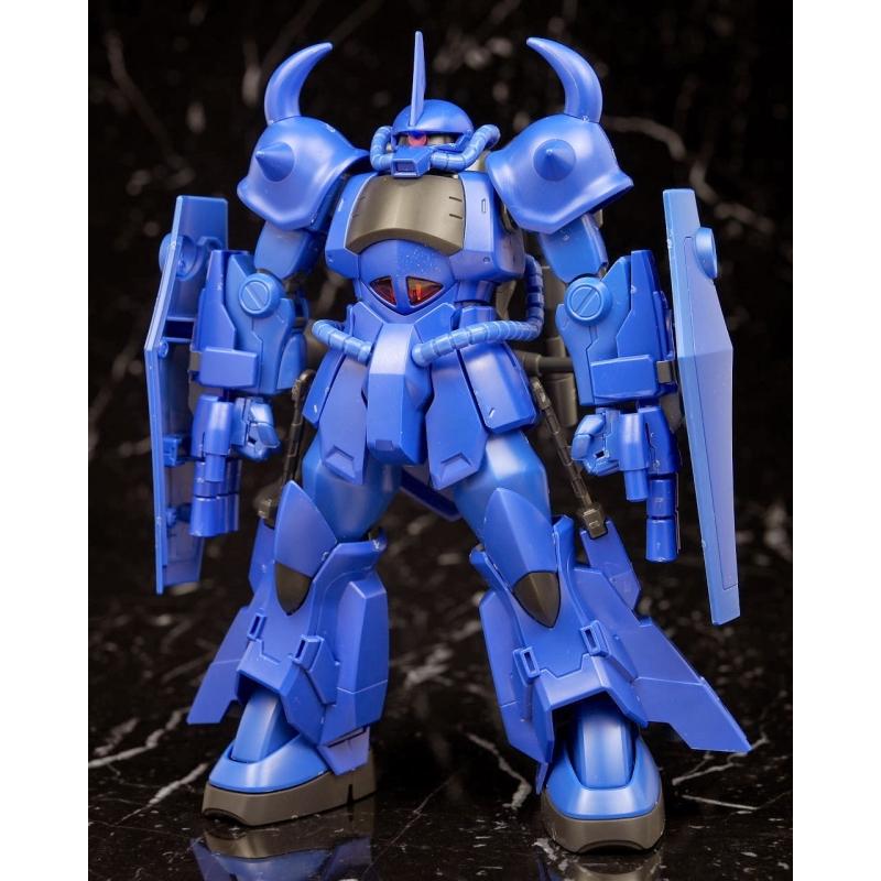 [015] HGBF 1/144 Gouf R35