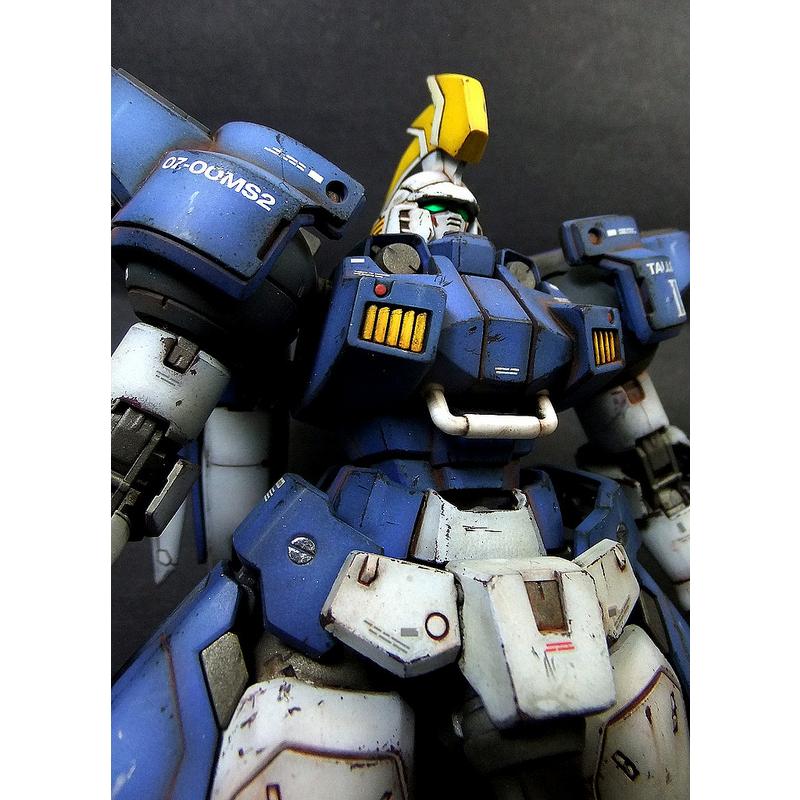 [Dragon Momoko] 1/100 TALLGEESE II