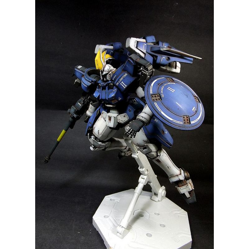 [Dragon Momoko] 1/100 TALLGEESE II