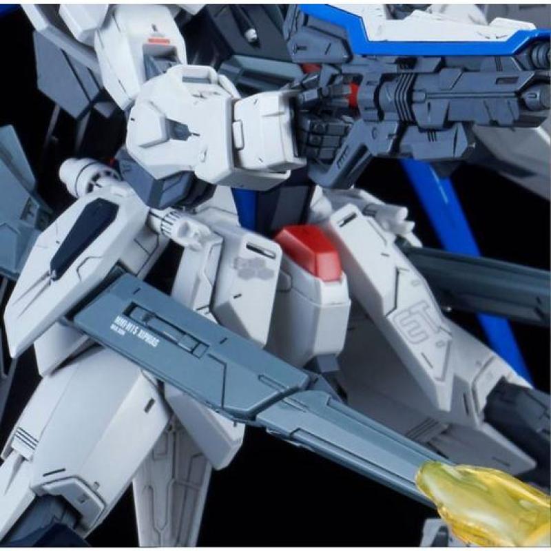 MG 1/100 Freedom Gundam Ver. 2.0 Expansion Parts