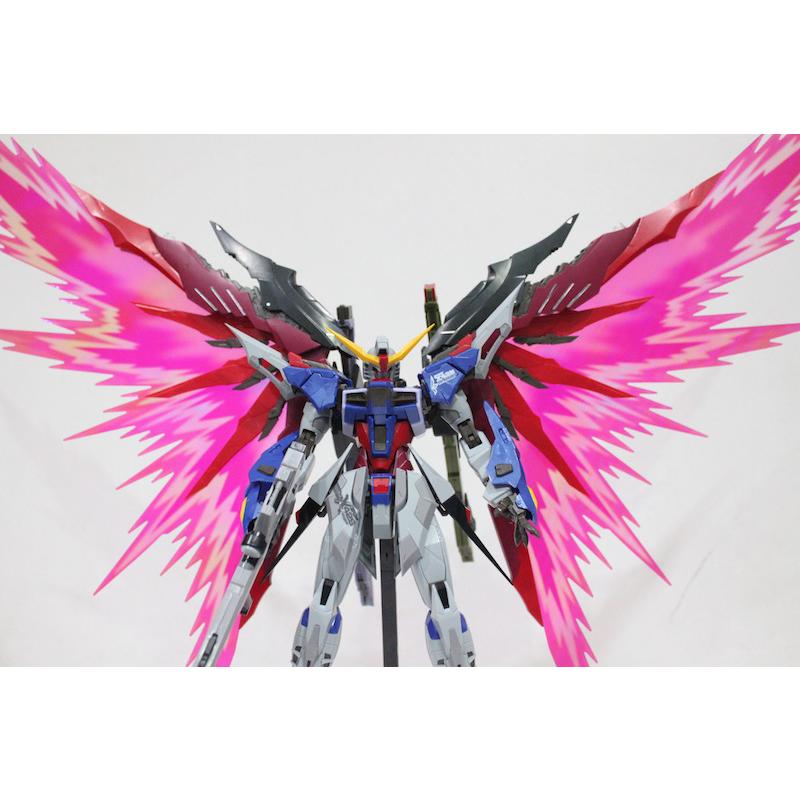 [Dragon Momoko] 1/100 MG Destiny Gundam [Metal Build alike]