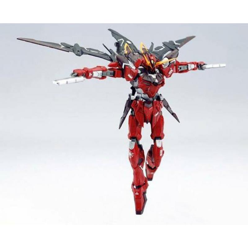 [Dragon Momoko] 1/100 MG Testament Gundam