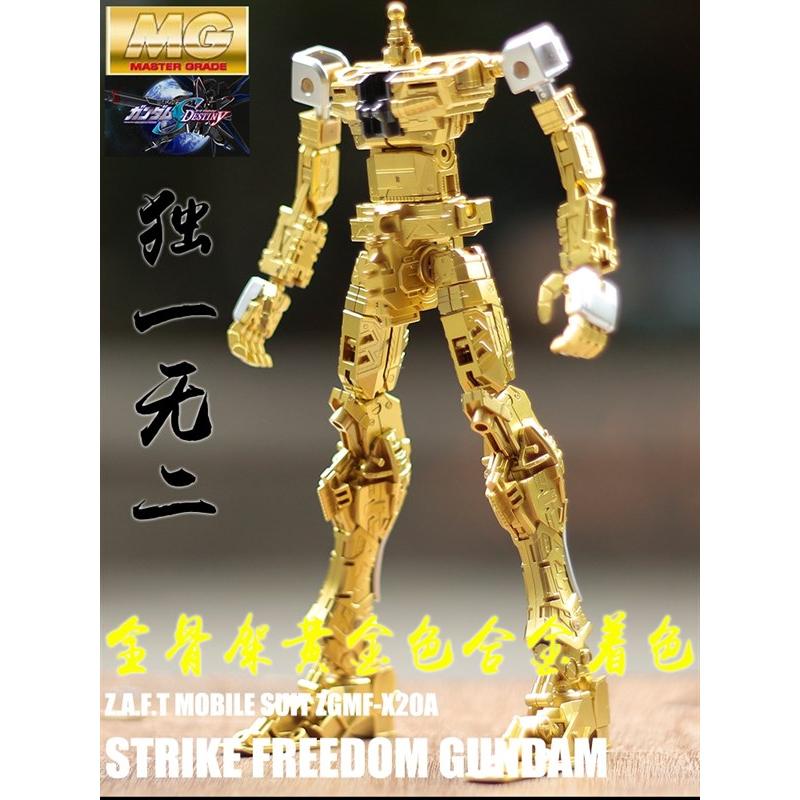 Special Coating : MG 1/100 Strike Freedom Gundam (Third party paint job)