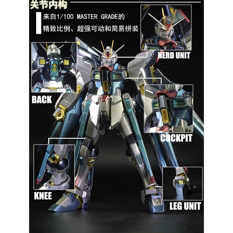 Special Coating : MG 1/100 Strike Freedom Gundam (Third party paint job)