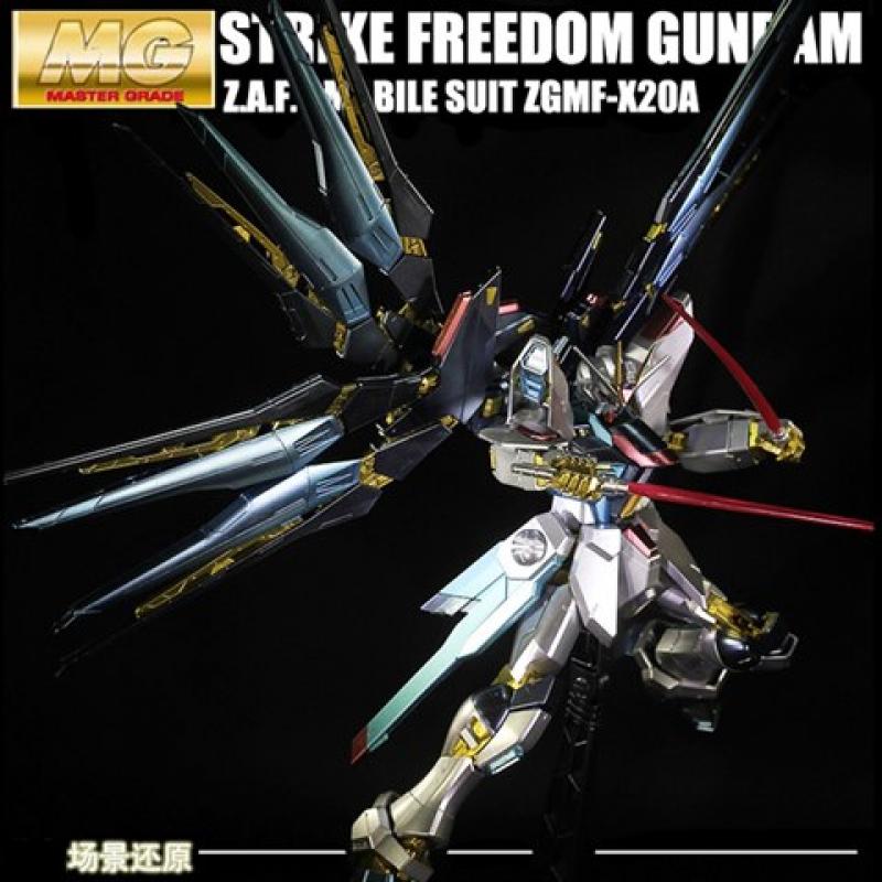 Special Coating : MG 1/100 Strike Freedom Gundam (Third party paint job)