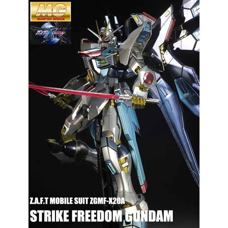 Special Coating : MG 1/100 Strike Freedom Gundam (Third party paint job)