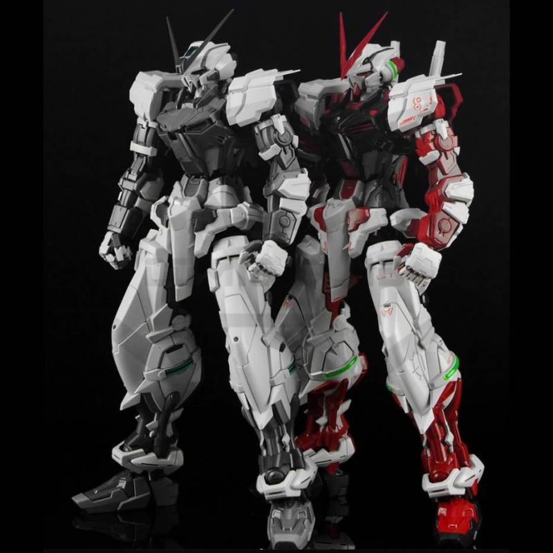 [NillSon] 1/60 Astray Red Frame Gundam Flight Unit - with Backpack (Deactivate Mode) [Gray]