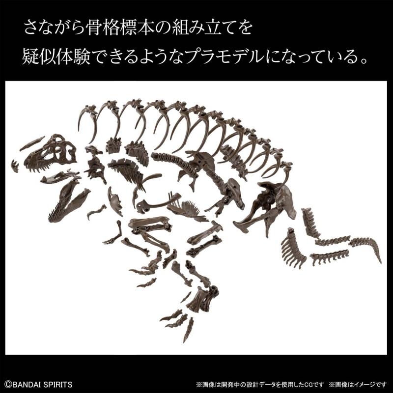 Imaginary Skeleton Tyrannosaurus