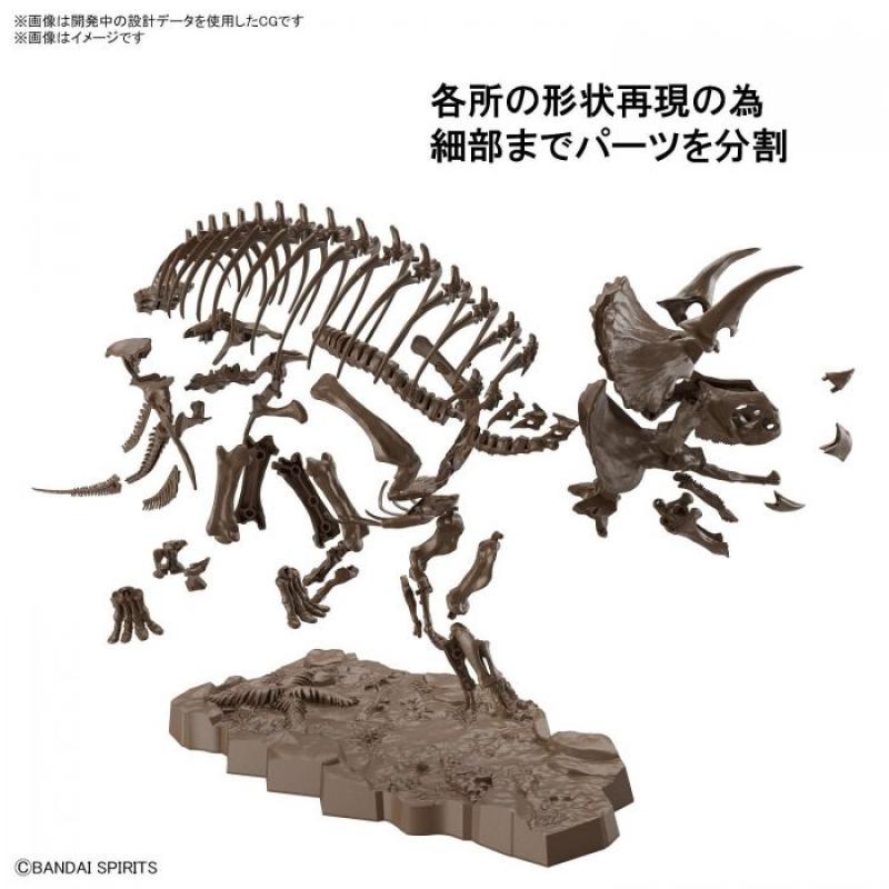 Imaginary Skeleton Triceratops