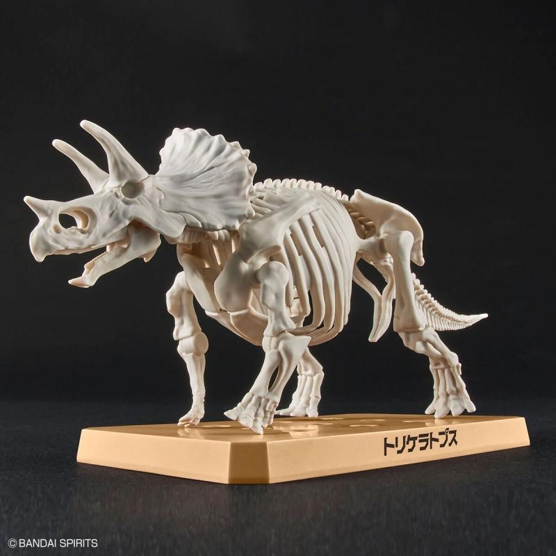 [02] Plannosaurus Triceratops Dinosaur Plastic Model