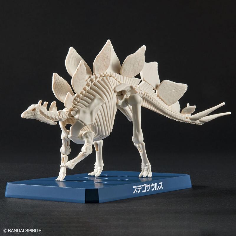 [03] Plannosaurus Stegosaurus Dinosaur Plastic Model