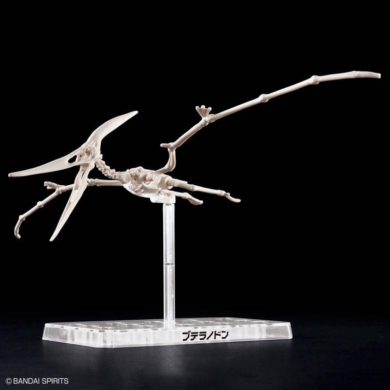 Plannosaurus Pteranodon Dinosaur Plastic Model
