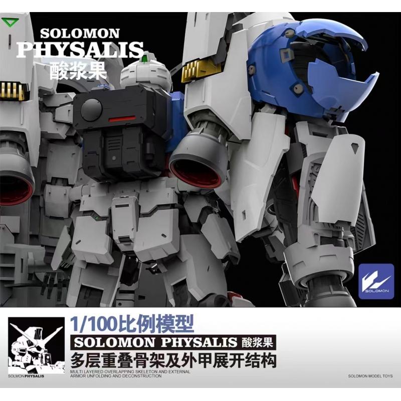 SOLOMON MG 1/100 RX-78GP02A Gundam "Physalis"