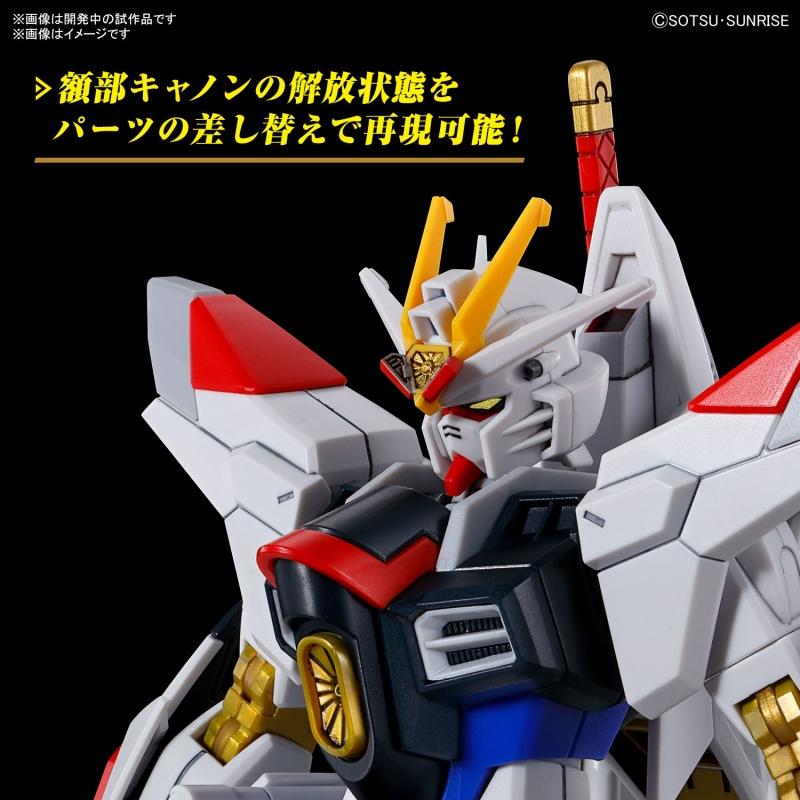 HG 1/144 Mighty Strike Freedom Gundam