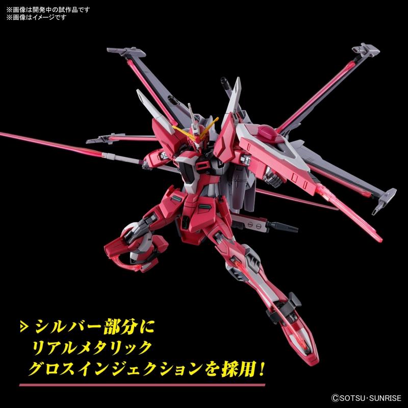 HG 1/144 Infinite Justice Gundam Type II