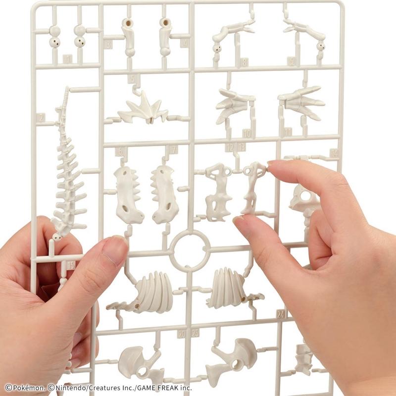 Pokemon Plamo Collection Fossil Pokemon Series Tyrantrum