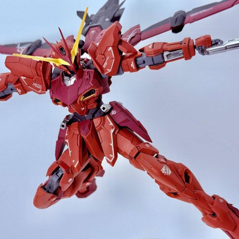 Tiger Model MG 1/100 Testament Gundam Plastic Model Kit