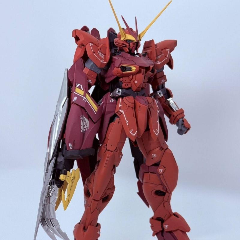 Tiger Model MG 1/100 Testament Gundam Plastic Model Kit