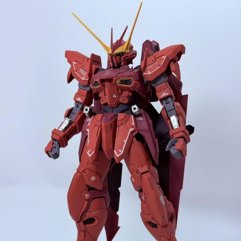 Tiger Model MG 1/100 Testament Gundam Plastic Model Kit