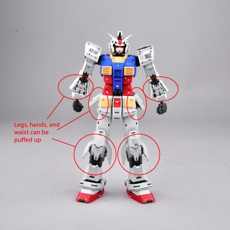 Panda Model 1/100 Gundam RX-78-2（RG 2.0 Ver.)