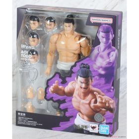 S.H.Figuarts AOI TODO