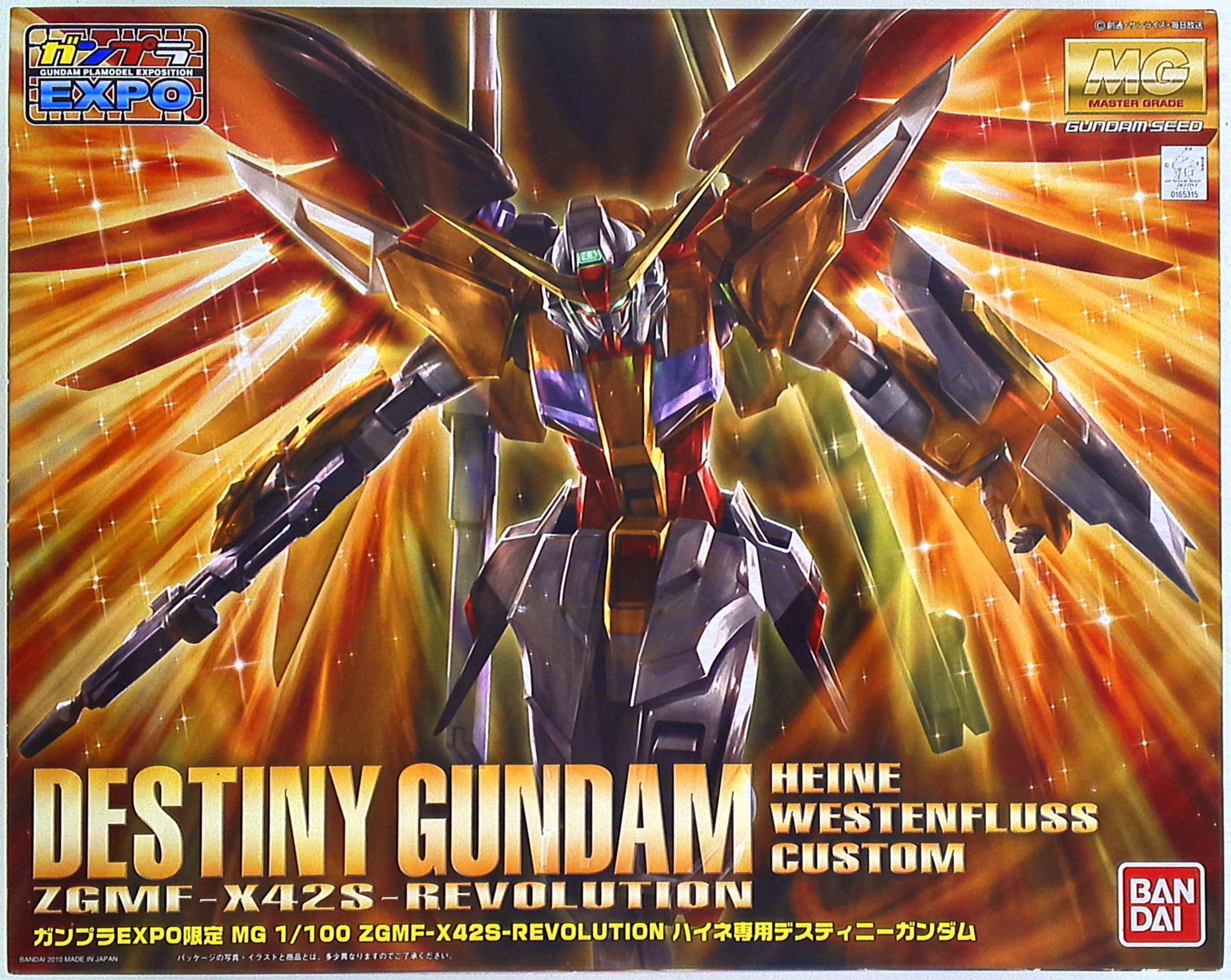 MG 1/100 Destiny Gundam (Heine Westenfluss Custom)
